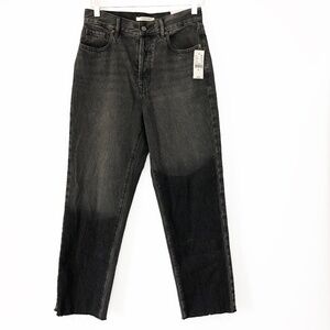 PacSun Dark Shadow High Rise Straight Leg Denim Jeans 26